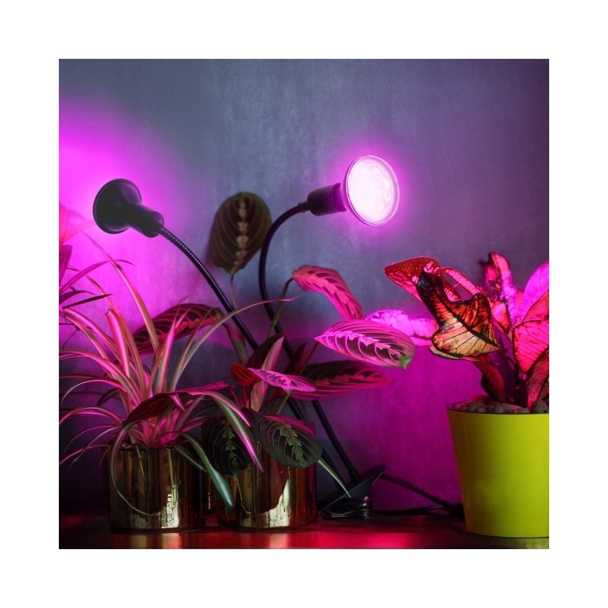 Гибкая настольная лампа с зажимом для выращивания растений PLANTY 2xE27/30W/230V черная