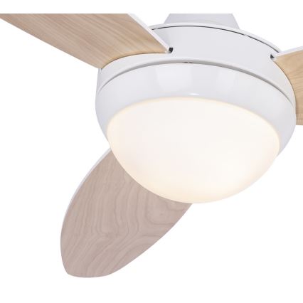 Globo 03612 - Потолочный вентилятор CORDULA 2xE14/40W/230V с дистанционным управлением
