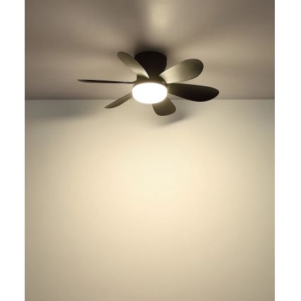 Globo - регульований стельовий світлодіодний вентилятор LED/5W/230V 2700-6500K, чорний + пульт дистанційного керування
