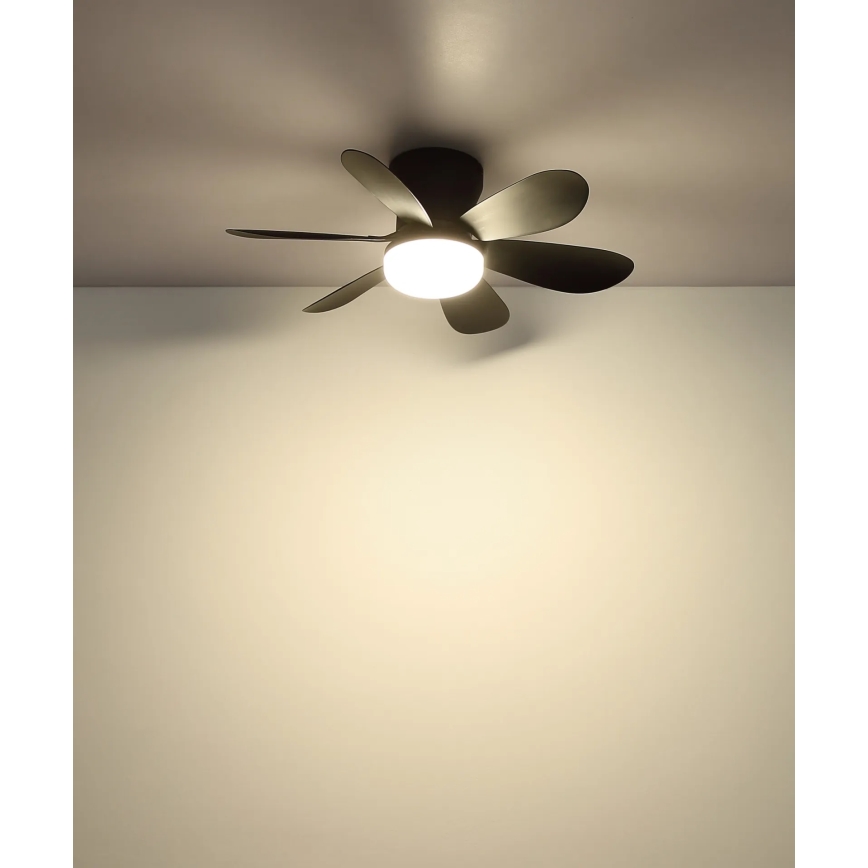 Globo - регульований стельовий світлодіодний вентилятор LED/5W/230V 2700-6500K, чорний + пульт дистанційного керування