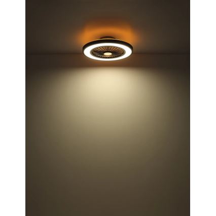 Globo - Светодиодный потолочный вентилятор с регулированием яркости LED/45W/230V 3000-6500K + дистанционное управление