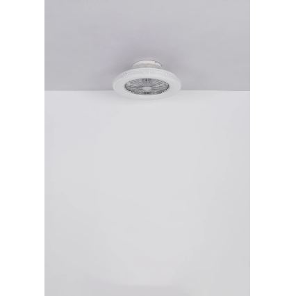 Globo - Светодиодный потолочный вентилятор с регулированием яркости LED/40W/230V 3000-6500K + дистанционное управление