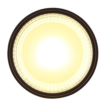 Globo - Стельовий LED світильник LED/12W/230V 3000K
