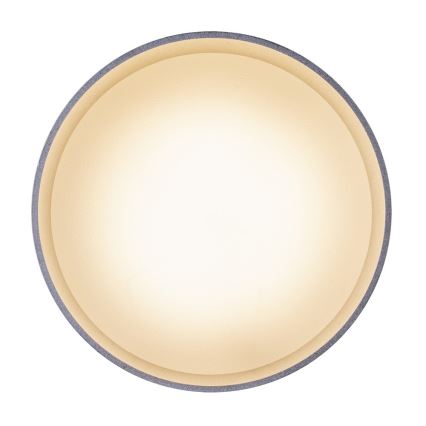 Globo 12015N - Светодиодный потолочный светильник JENNY LED/8W/230V + LED/4W/230V