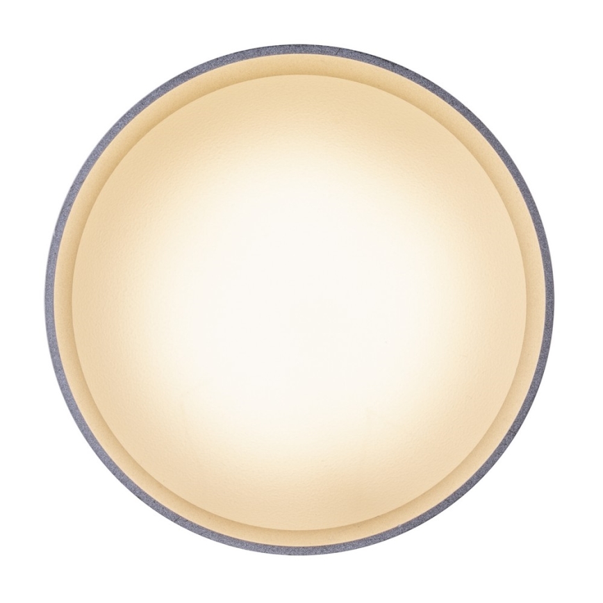 Globo - Світлодіодний стельовий світильник LED/8W/230V + LED/4W/230V