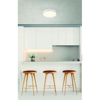 Globo - Светодиодный потолочный светильник с регулированием яркости LED/22W/230V
