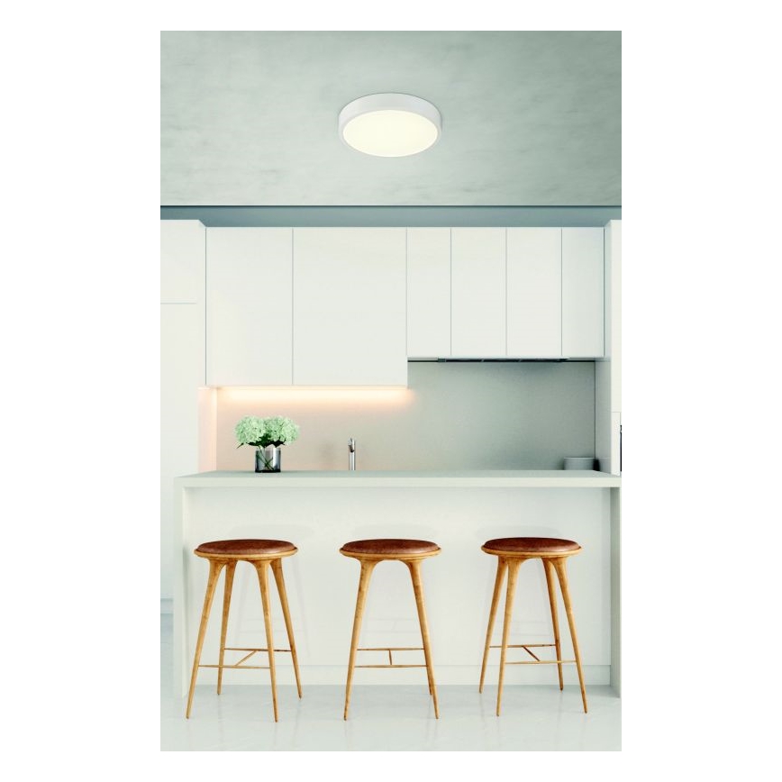 Globo - Светодиодный потолочный светильник с регулированием яркости LED/22W/230V