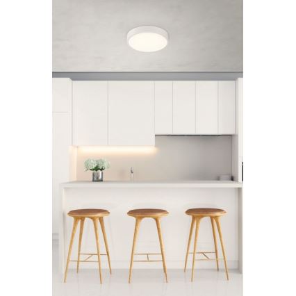 Globo - Светодиодный потолочный светильник с регулированием яркости LED/22W/230V