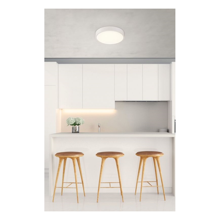 Globo - Светодиодный потолочный светильник с регулированием яркости LED/22W/230V
