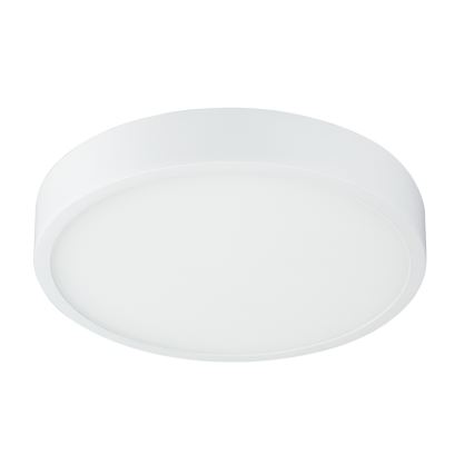 Globo - Светодиодный потолочный светильник с регулированием яркости LED/22W/230V