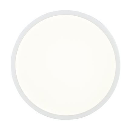 Globo - Светодиодный потолочный светильник с регулированием яркости LED/22W/230V