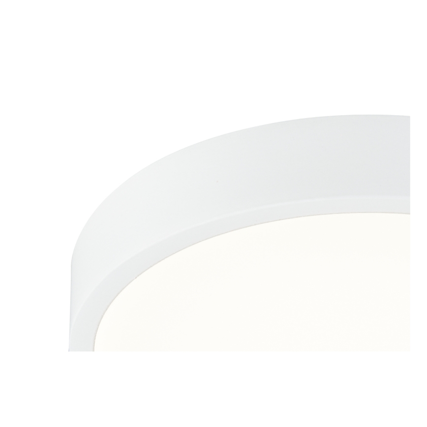 Globo - Светодиодный потолочный светильник с регулированием яркости LED/22W/230V