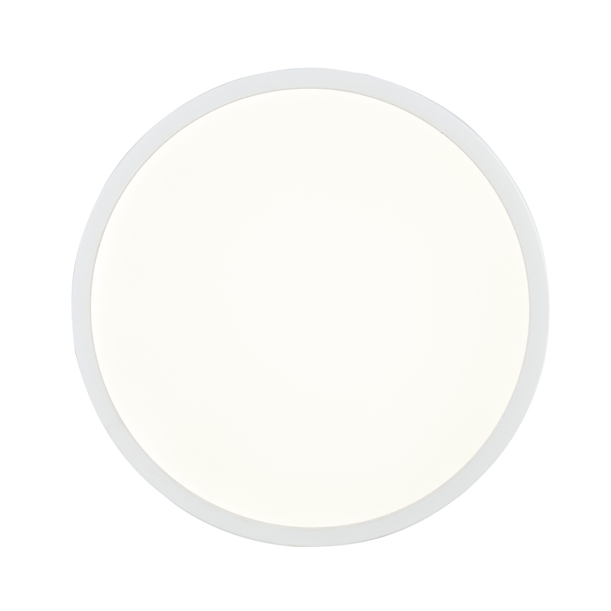 Globo - Світильник стельовий світлодіодний димований LED/22W/230V
