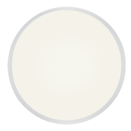 Globo - Светодиодный потолочный светильник с регулированием яркости LED/28W/230V