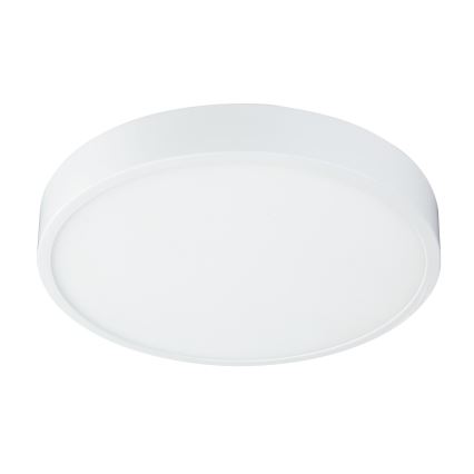 Globo - Светодиодный потолочный светильник с регулированием яркости LED/28W/230V