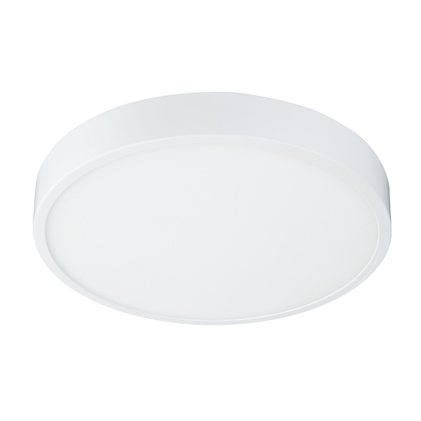 Globo - Светодиодный потолочный светильник с регулированием яркости LED/28W/230V