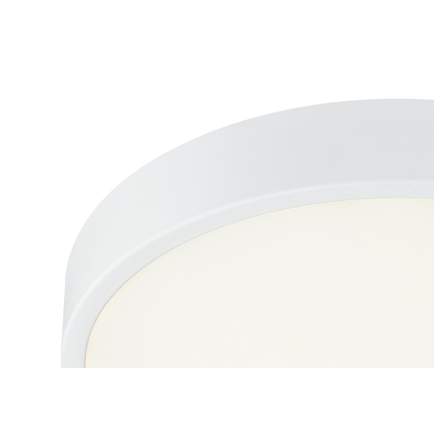 Globo - Светодиодный потолочный светильник с регулированием яркости LED/28W/230V