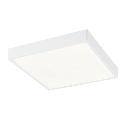 Globo - Светодиодный потолочный светильник с регулированием яркости LED/28W/230V
