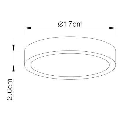 Globo - Светодиодный потолочный светильник LED/22W/230V
