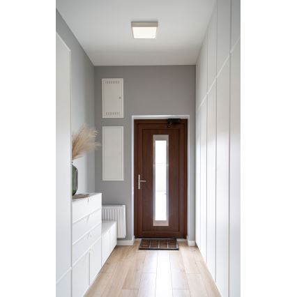 Globo - Світлодіодний стельовий світильник LED/15W/230V