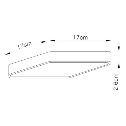 Globo - Світлодіодний стельовий світильник LED/22W/230V