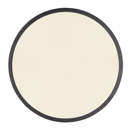 Globo - Светодиодный потолочный светильник с регулированием яркости LED/22W/230V