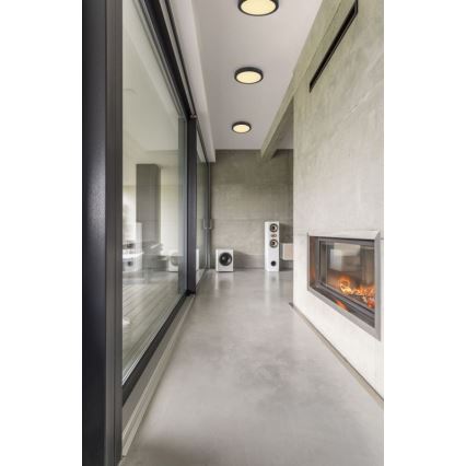 Globo 12374-24R - Светодиодный потолочный светильник DINO LED/22W/230V