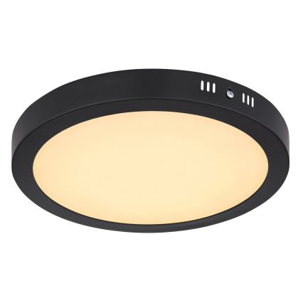 Globo 12374-24R - Светодиодный потолочный светильник DINO LED/22W/230V