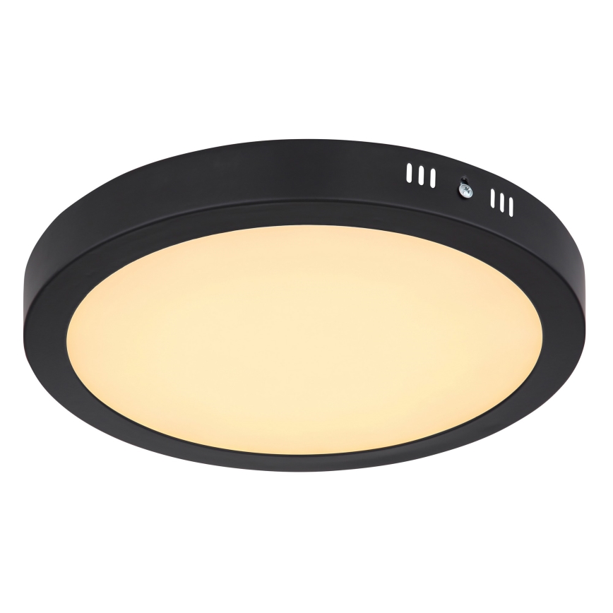 Globo 12374-24R - Светодиодный потолочный светильник DINO LED/22W/230V