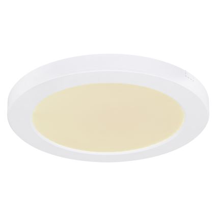 Globo - Светодиодный потолочный светильник LED/18W/230V 3000/4000/6500K белый