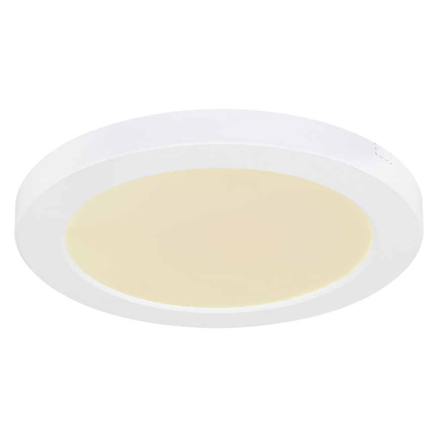 Globo - Светодиодный потолочный светильник LED/18W/230V 3000/4000/6500K белый