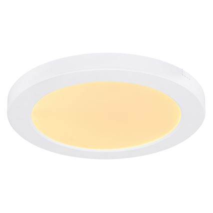 Globo - Светодиодный потолочный светильник LED/18W/230V 3000/4000/6500K белый
