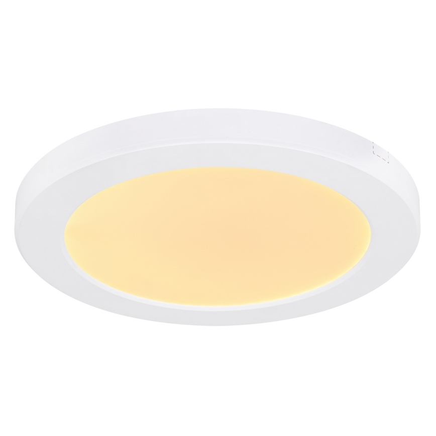 Globo - Светодиодный потолочный светильник LED/18W/230V 3000/4000/6500K белый