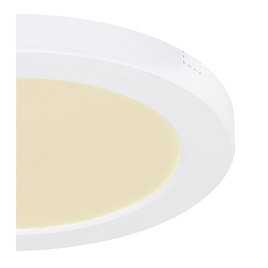 Globo - Светодиодный потолочный светильник LED/18W/230V 3000/4000/6500K белый