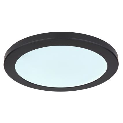 Globo - Светодиодный потолочный светильник LED/24W/230V 3000/4000/6500K черный