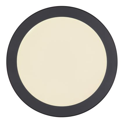 Globo - Светодиодный потолочный светильник LED/24W/230V 3000/4000/6500K черный