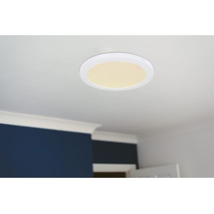 Globo - Светодиодный потолочный светильник LED/24W/230V 3000/4000/6500K белый