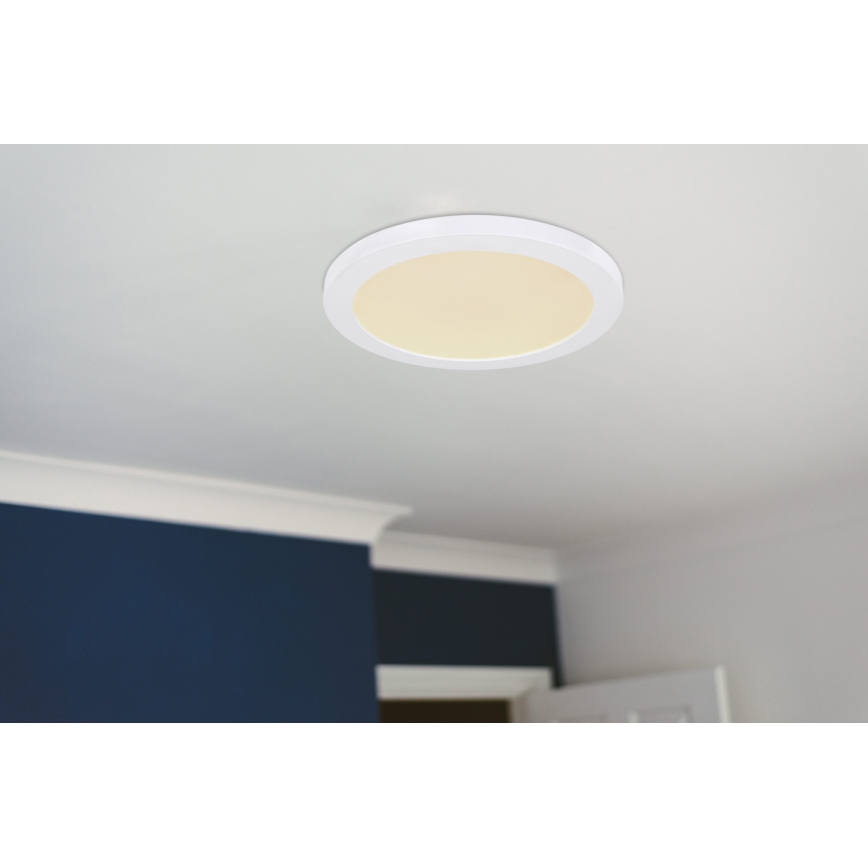 Globo - Светодиодный потолочный светильник LED/24W/230V 3000/4000/6500K белый