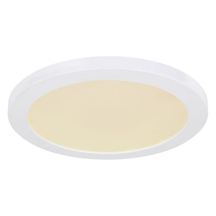 Globo - Светодиодный потолочный светильник LED/24W/230V 3000/4000/6500K белый