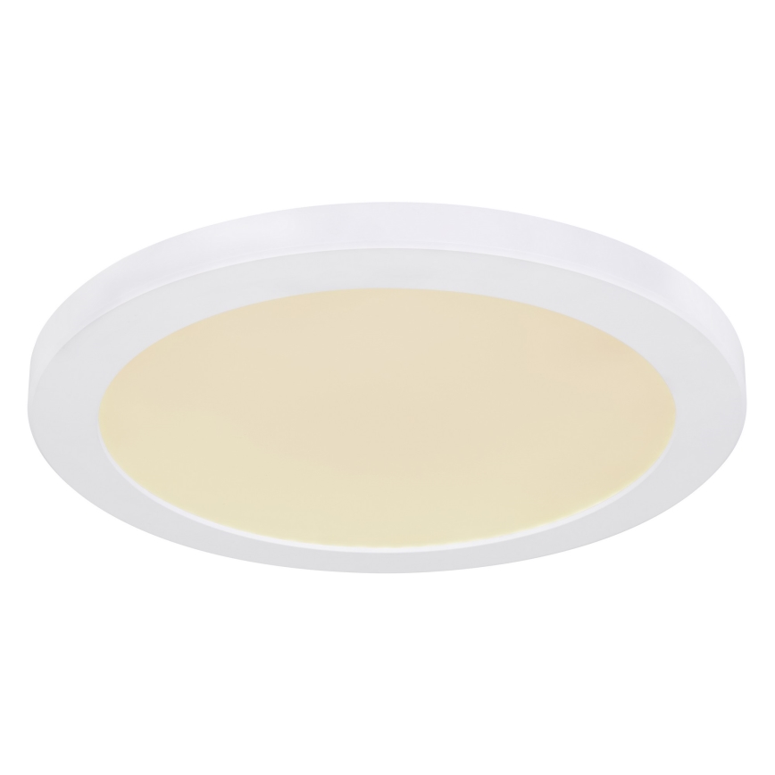 Globo - Светодиодный потолочный светильник LED/24W/230V 3000/4000/6500K белый