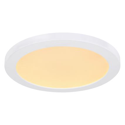 Globo - Светодиодный потолочный светильник LED/24W/230V 3000/4000/6500K белый