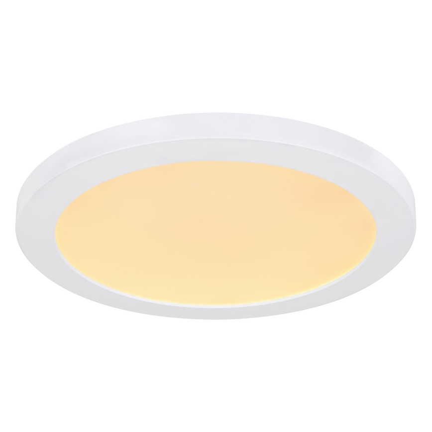 Globo - Светодиодный потолочный светильник LED/24W/230V 3000/4000/6500K белый