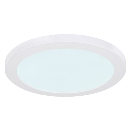 Globo - Светодиодный потолочный светильник LED/24W/230V 3000/4000/6500K белый