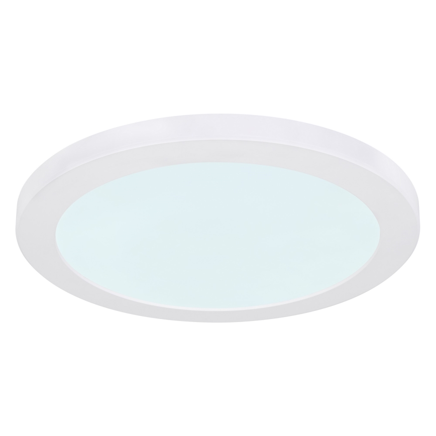 Globo - Светодиодный потолочный светильник LED/24W/230V 3000/4000/6500K белый