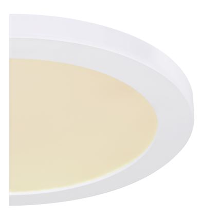 Globo - Светодиодный потолочный светильник LED/24W/230V 3000/4000/6500K белый