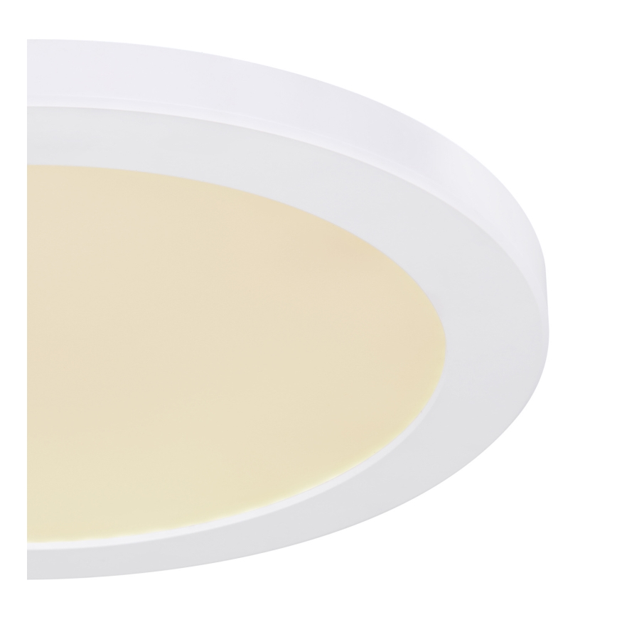 Globo - Светодиодный потолочный светильник LED/24W/230V 3000/4000/6500K белый