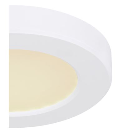Globo - Светодиодный потолочный светильник LED/6W/230V 3000/4000/6500K белый