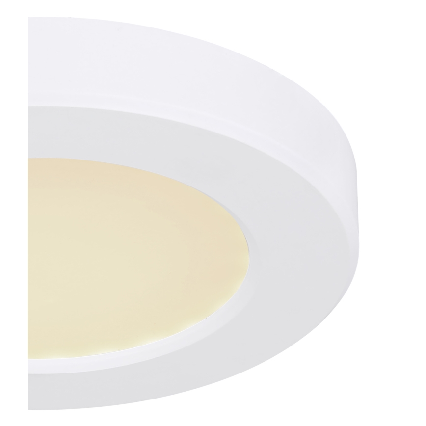 Globo - Светодиодный потолочный светильник LED/6W/230V 3000/4000/6500K белый