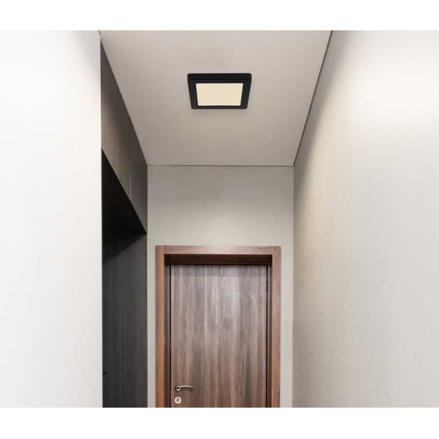 Globo - Светодиодный потолочный светильник LED/12W/230V 3000/4000/6500K черный