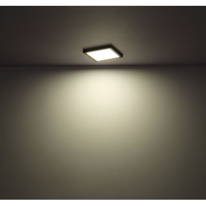 Globo - Светодиодный потолочный светильник LED/12W/230V 3000/4000/6500K черный